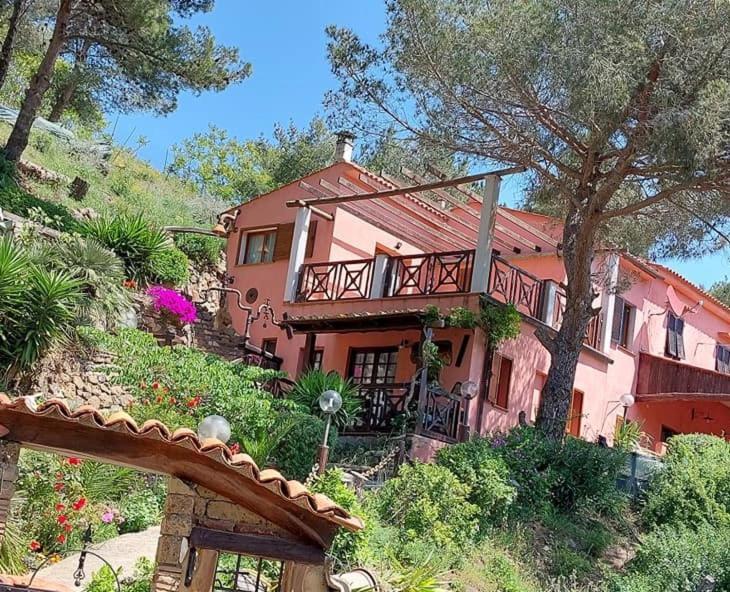 Villetta Dei Fichi D'India Rio dellʼElba Exterior foto
